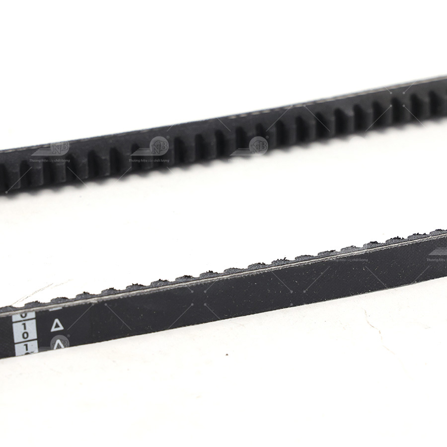 Dây curoa thang Optibelt  V10x825