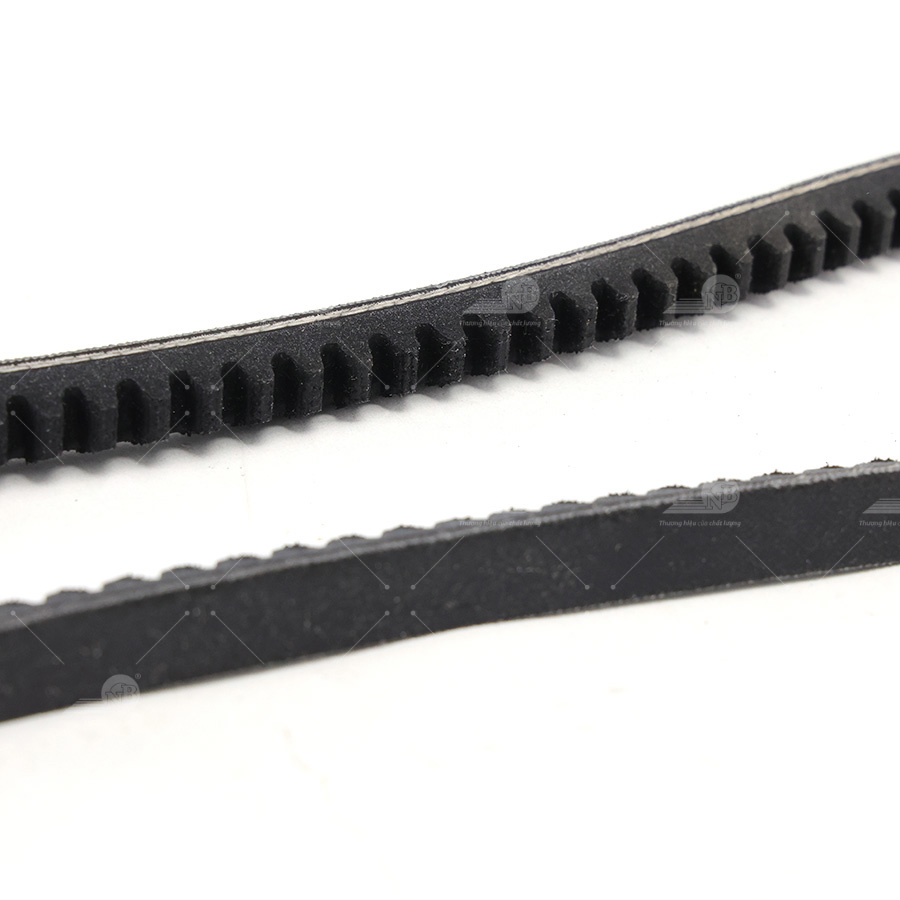 Dây curoa thang Optibelt  V10x850