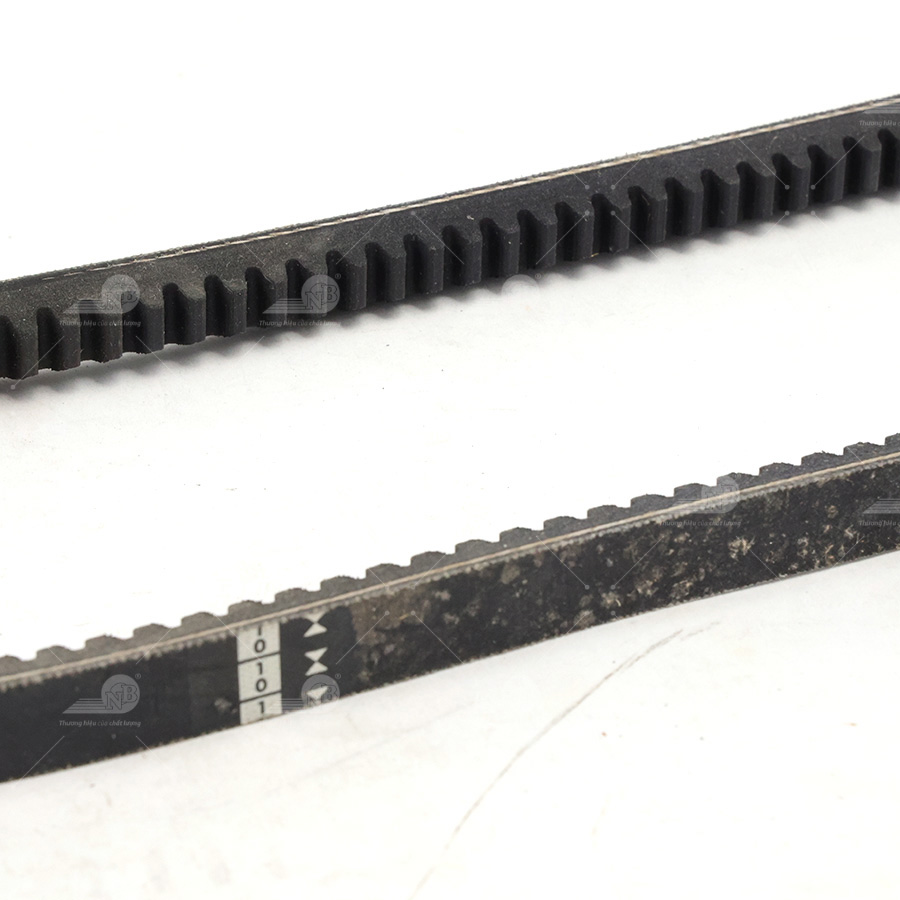 Dây curoa thang Optibelt  V13x695