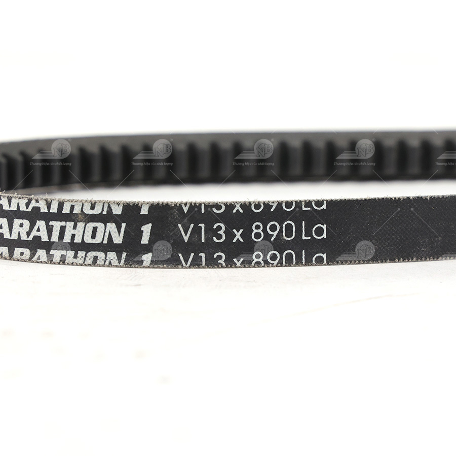 Dây curoa thang Optibelt  V13x890