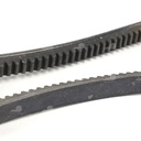 Dây curoa thang Optibelt  V15x800