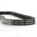 Dây curoa thang Optibelt  V15x875