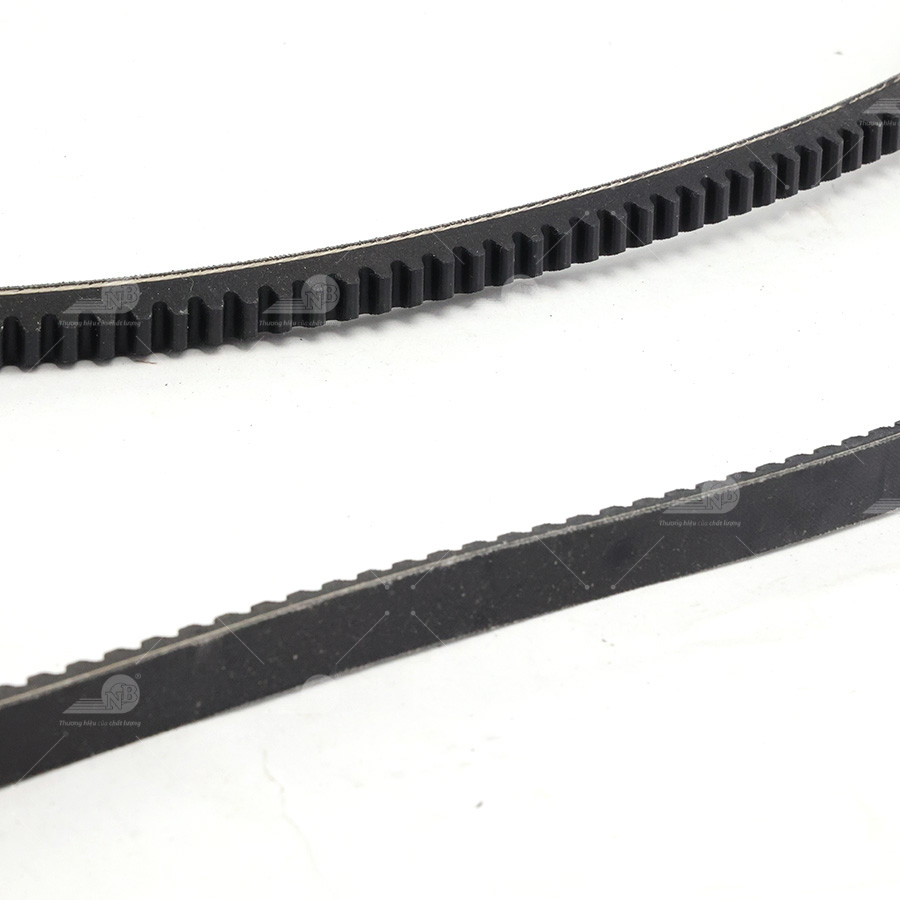 Dây curoa thang Optibelt  V13x1590