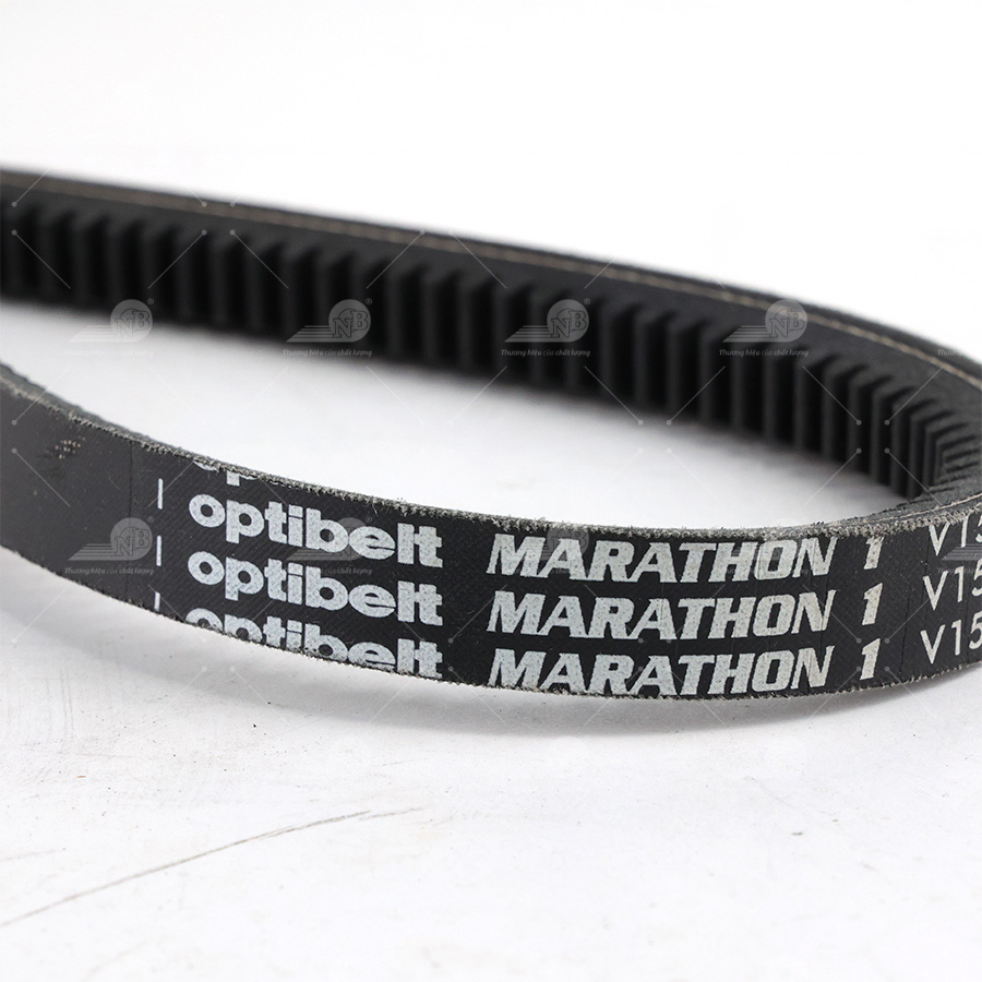 Dây curoa thang Optibelt  V15x1560