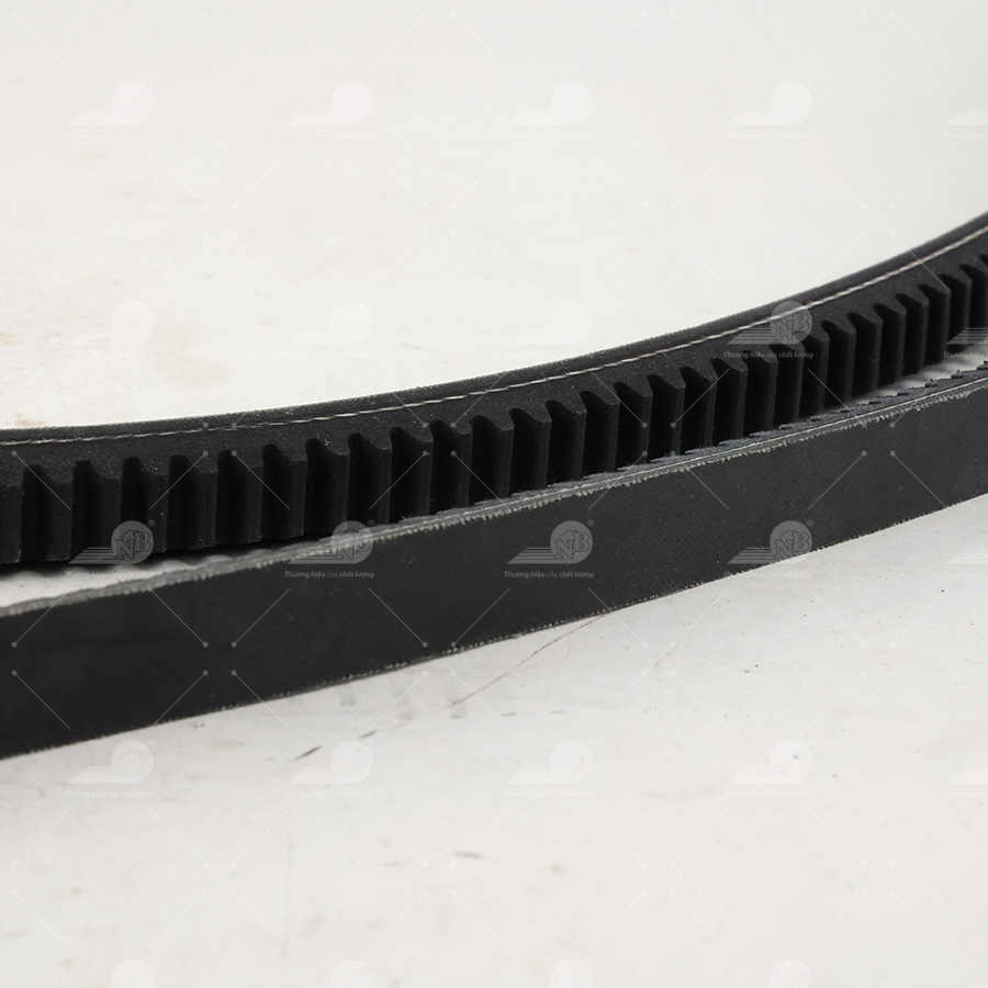 Dây curoa thang Optibelt  V15x1585