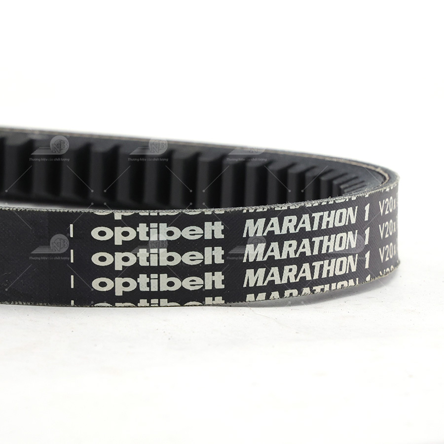 Dây curoa thang Optibelt  V20x1300