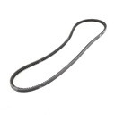 Dây curoa thang Optibelt  V10x1205