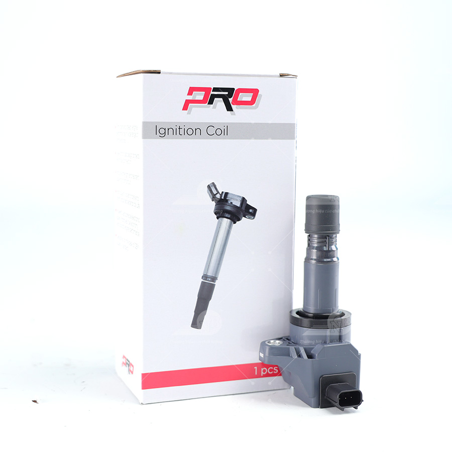 Mobin đánh lửa 30520-R1A-A01