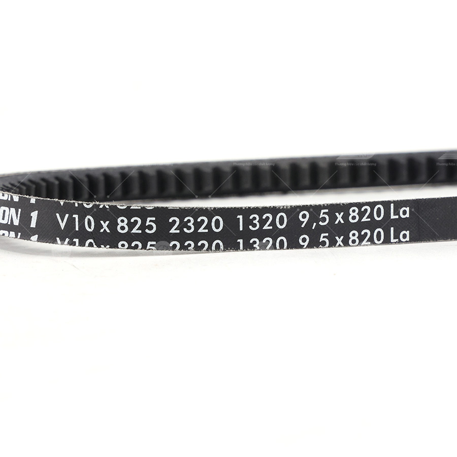Dây curoa thang Optibelt  V10x825