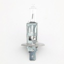 HALOGEN BULBS  H1 -12V55W