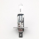 HALOGEN BULBS  H1-24V70W