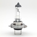 HALOGEN BULBS  H7-24V100W